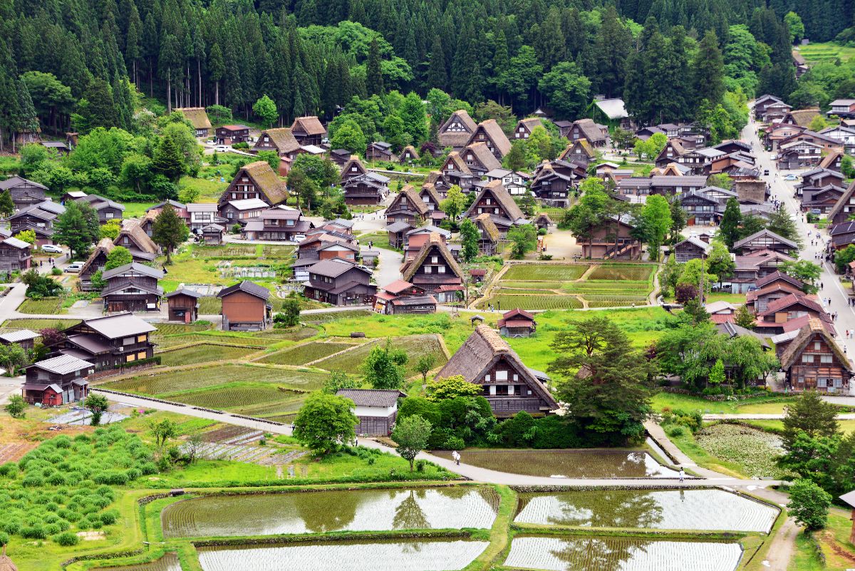 地旅商品画像