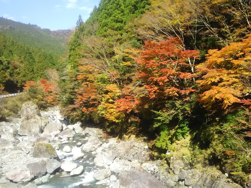 地旅商品画像