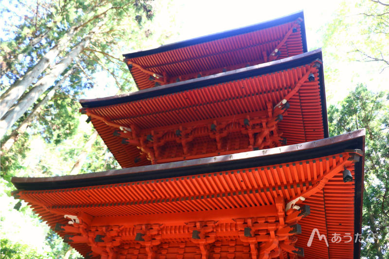 地旅商品画像4