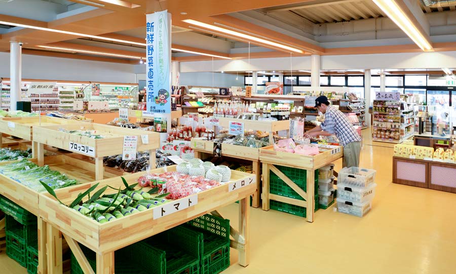 地旅商品画像3
