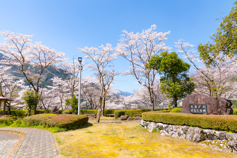 地旅商品画像