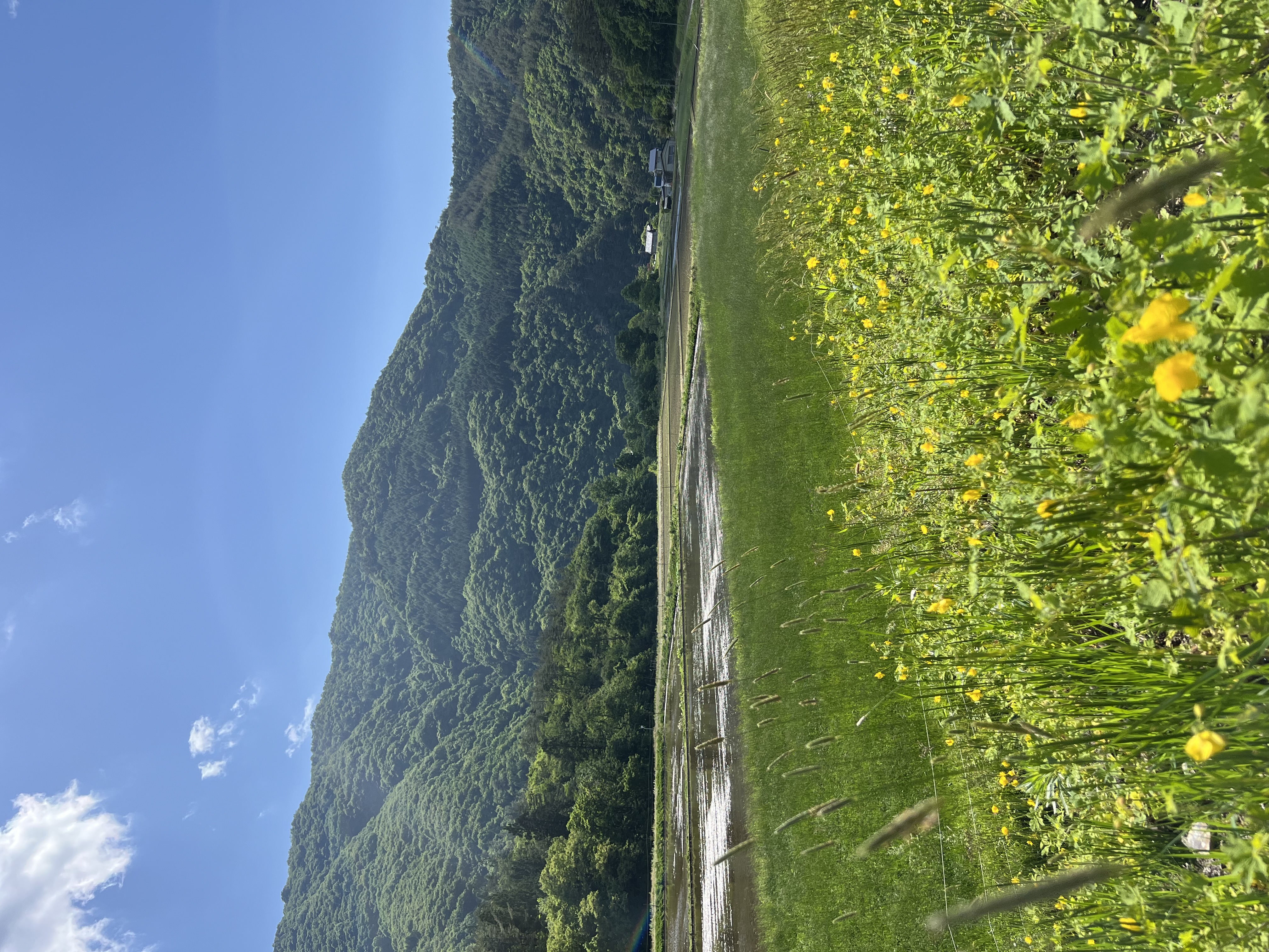 地旅商品画像6