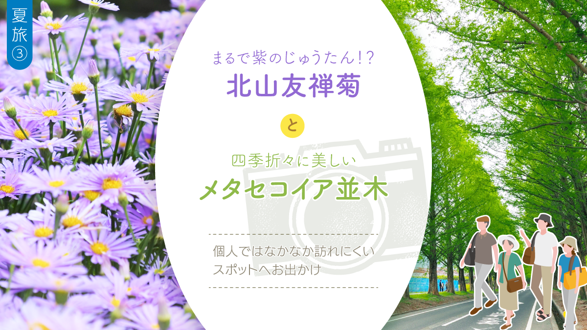 地旅商品画像1