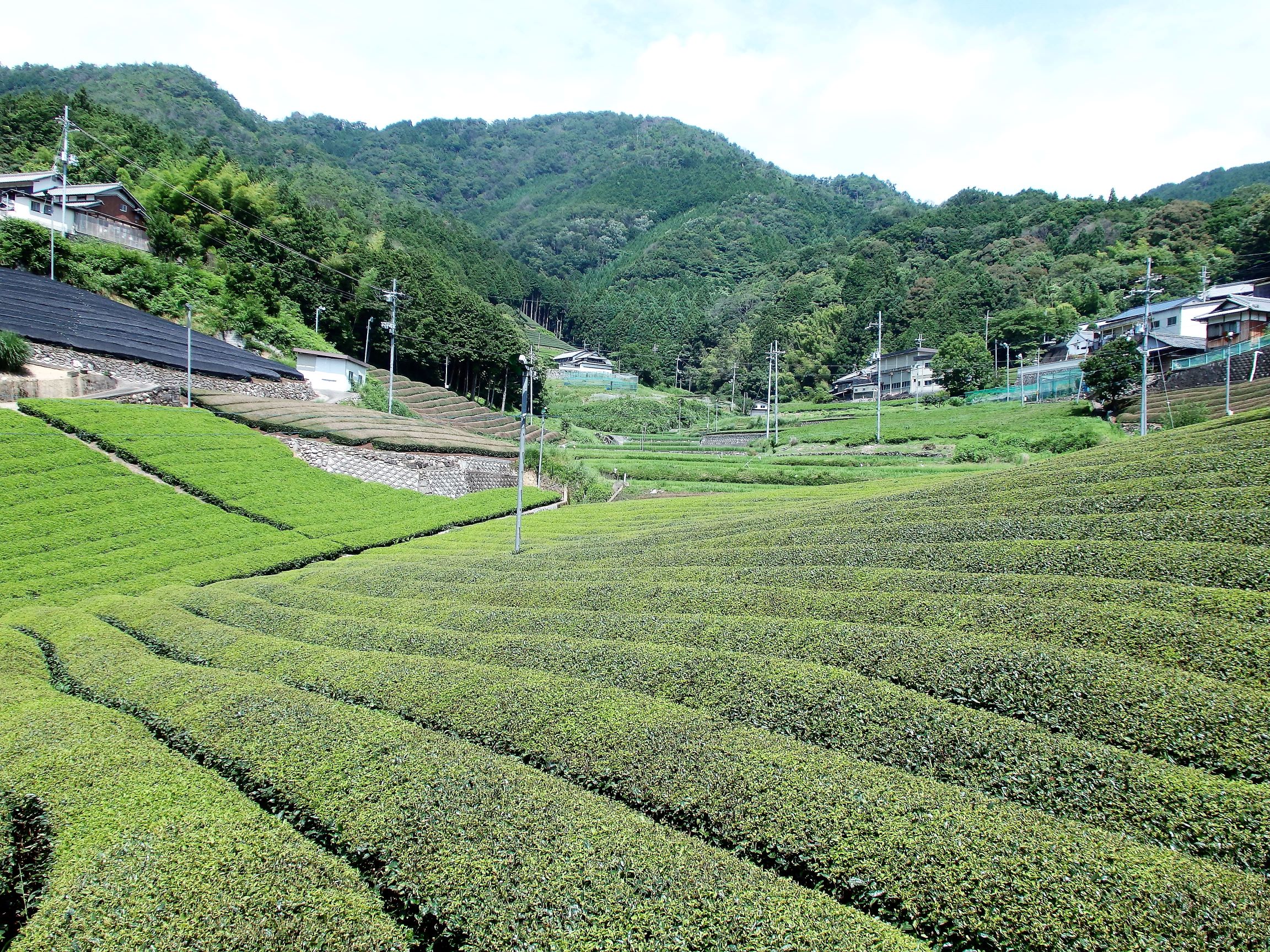 地旅商品画像2