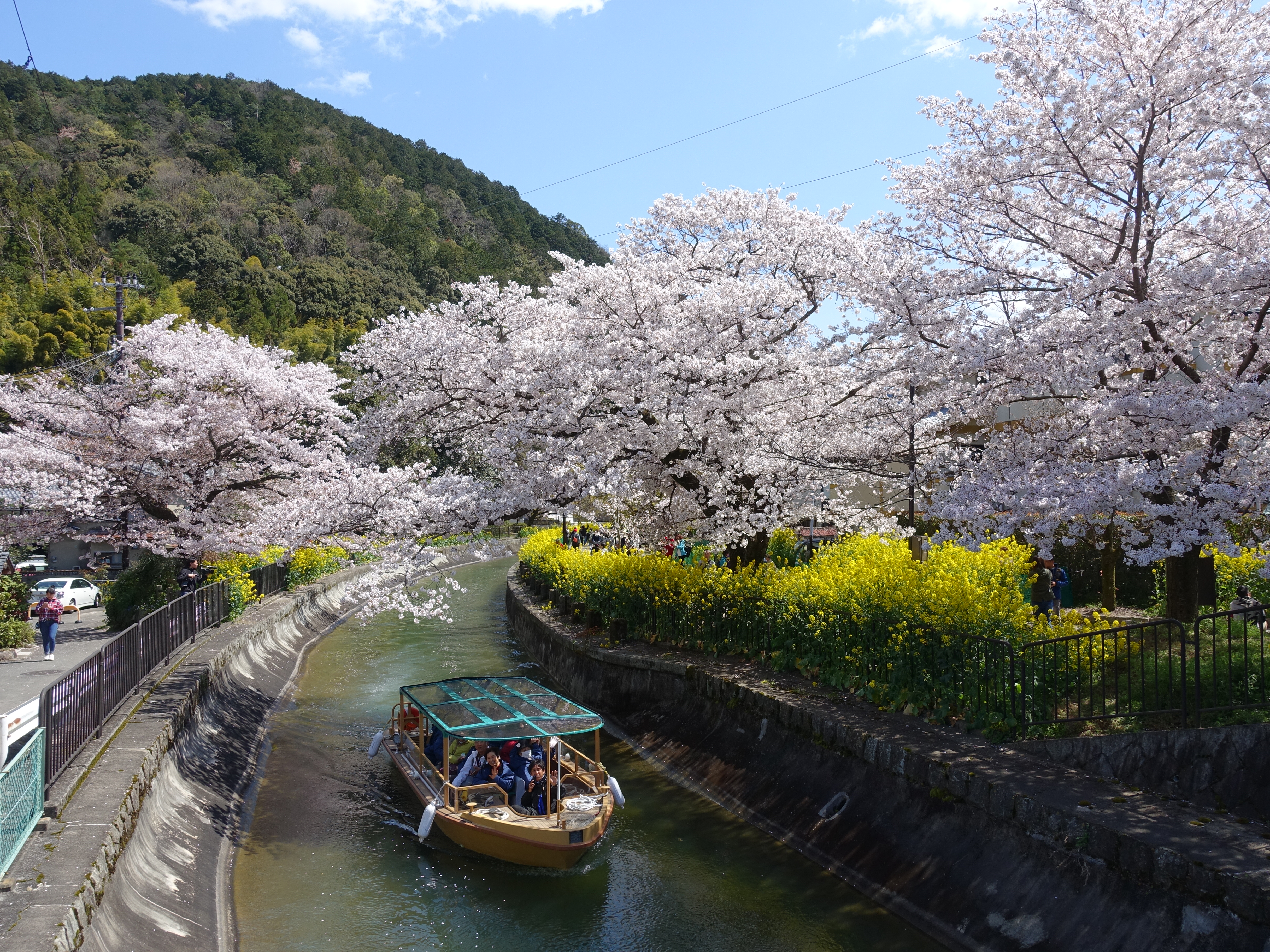 地旅商品画像6