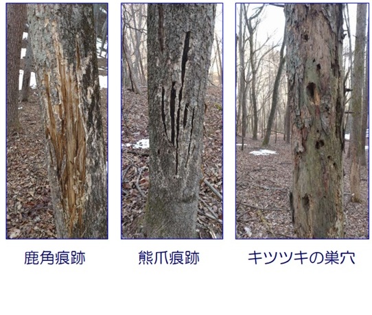 地旅商品画像10