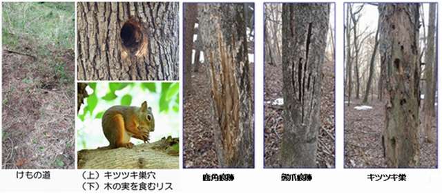 地旅商品画像