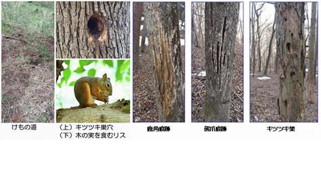 地旅商品画像