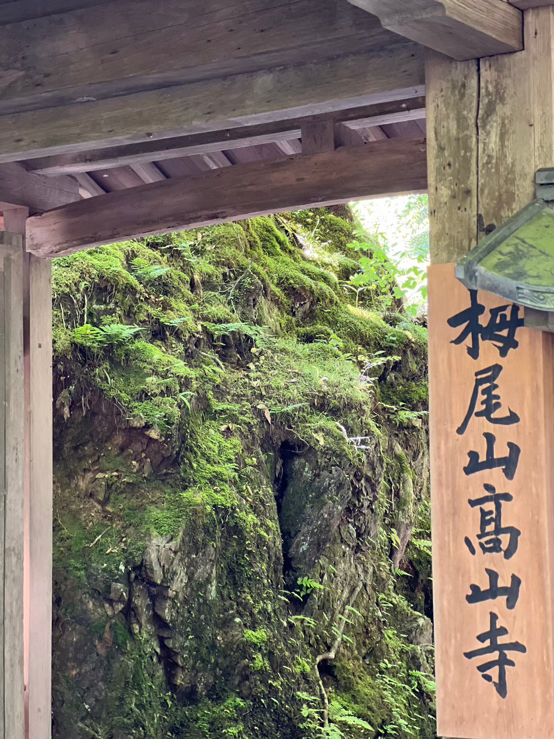 地旅商品画像5