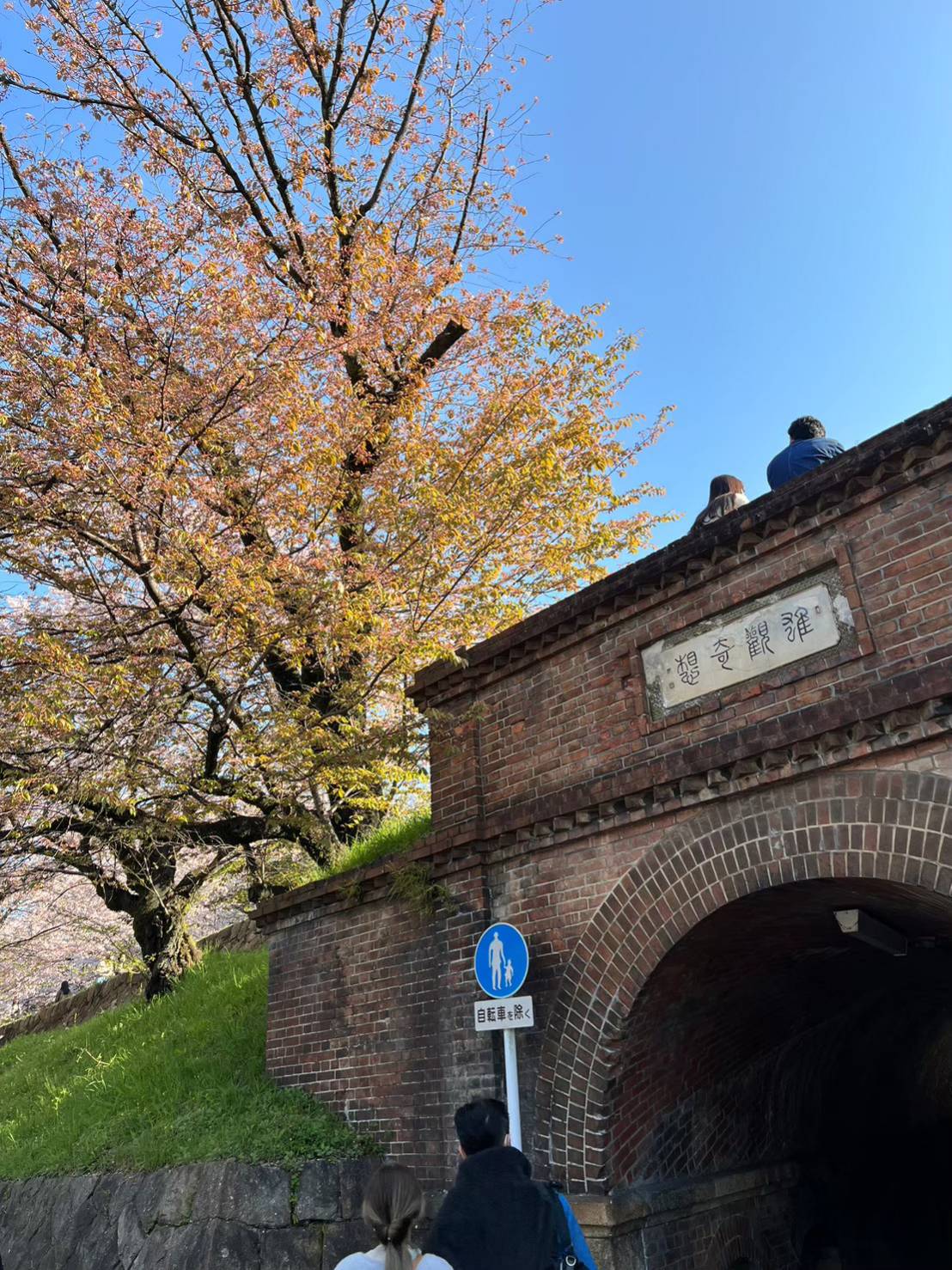 地旅商品画像3