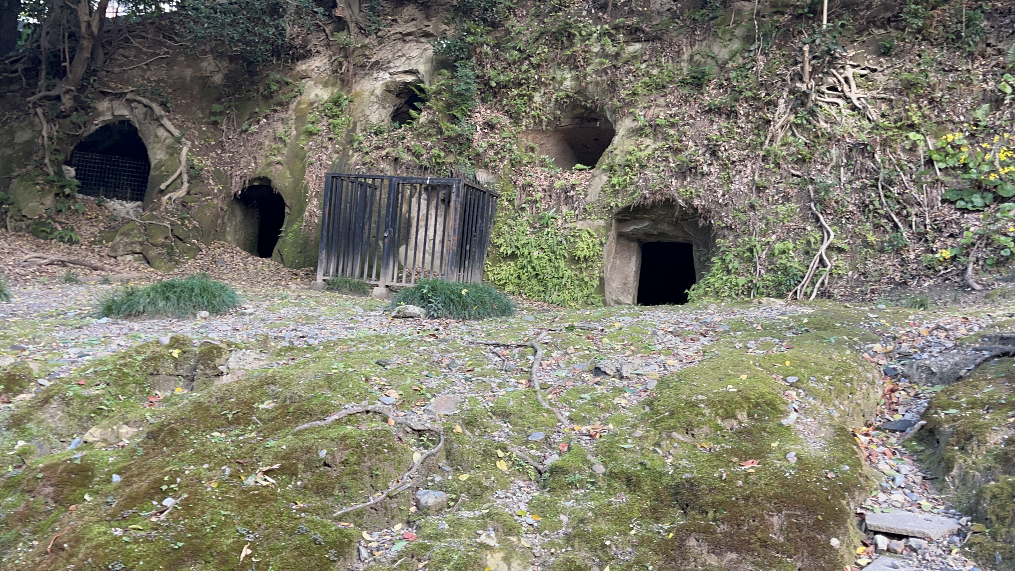 地旅商品画像2