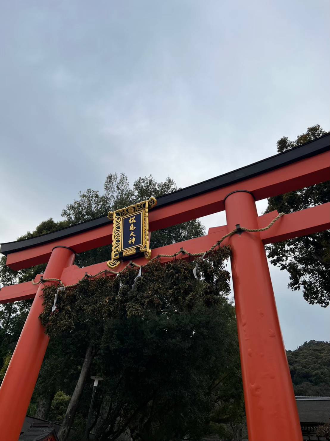 地旅商品画像4