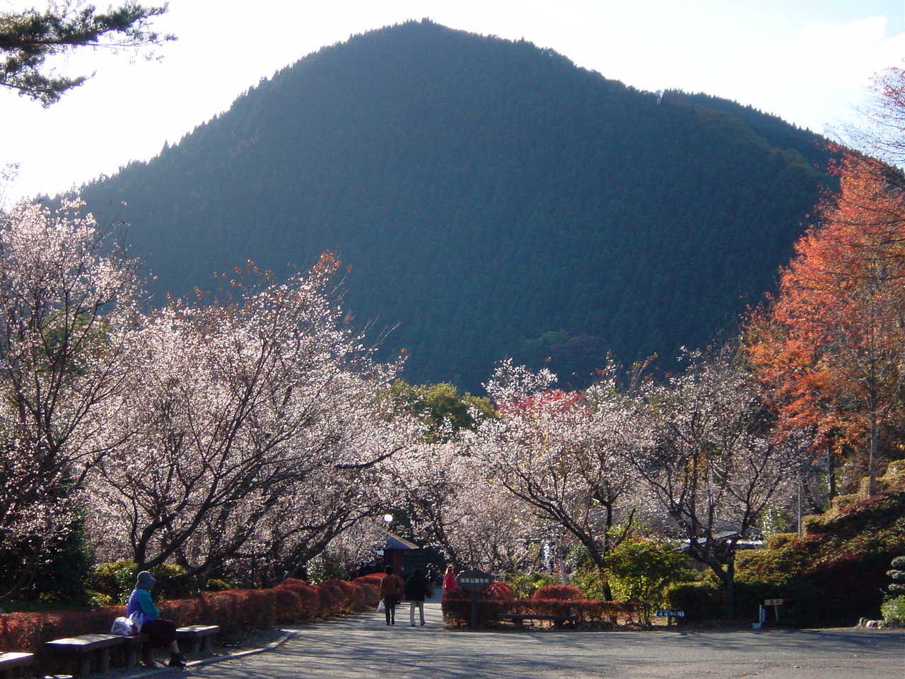 地旅商品画像4