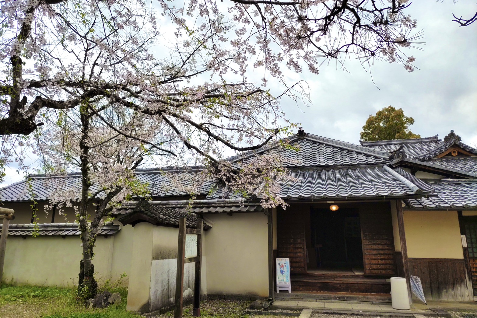 地旅商品画像7