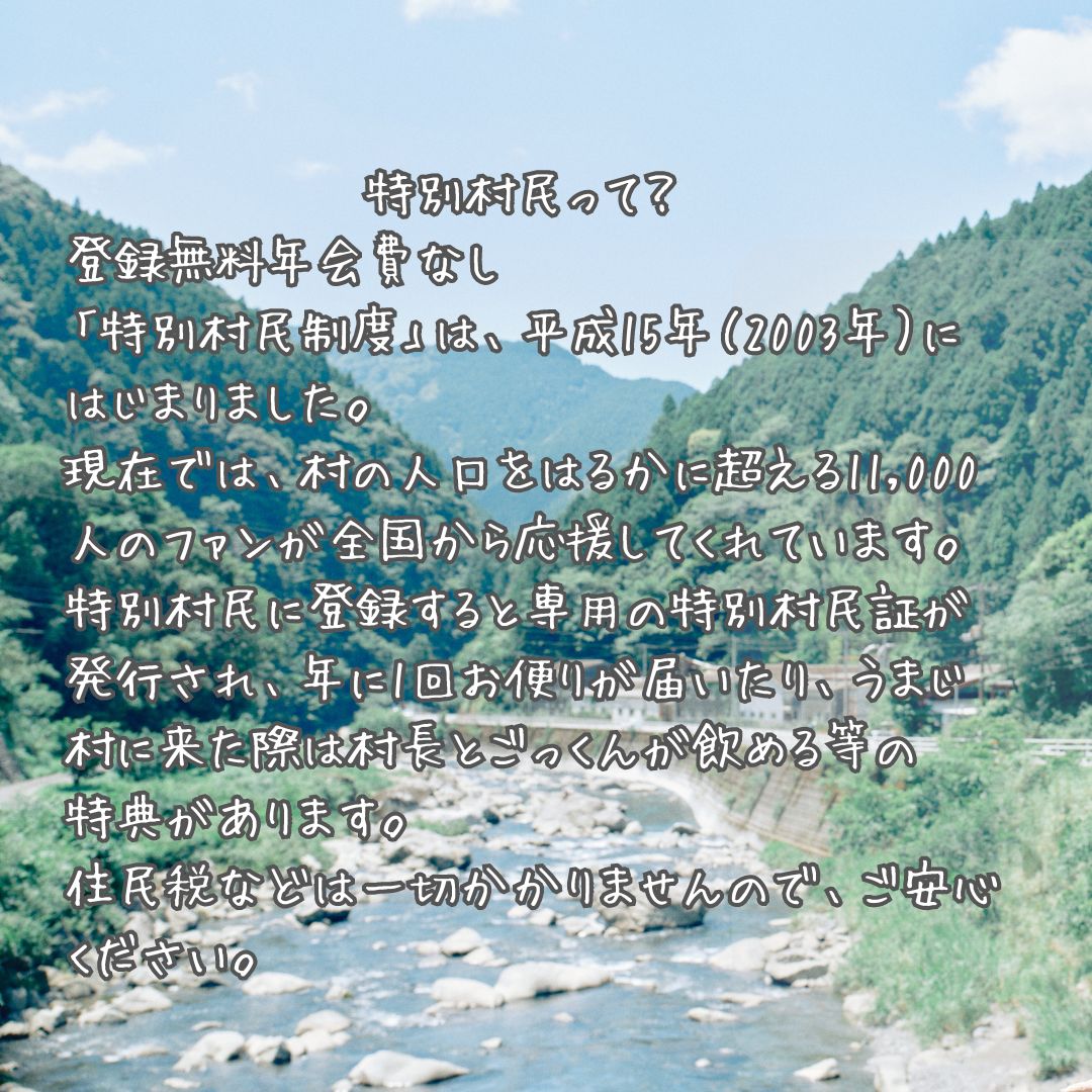 地旅商品画像3