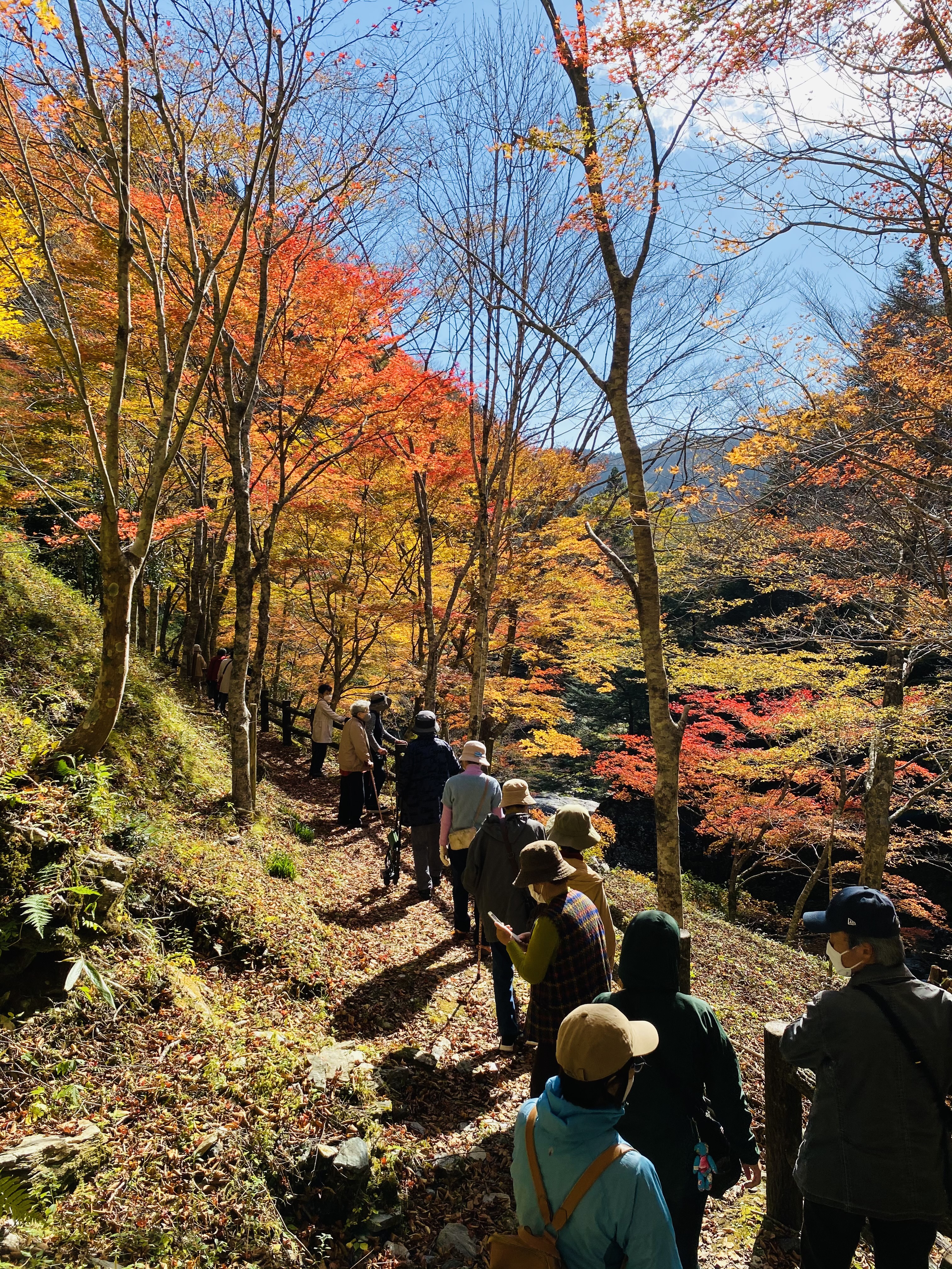 地旅商品画像