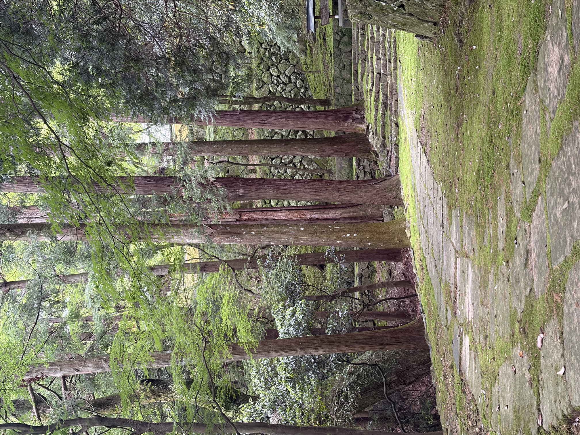 地旅商品画像2